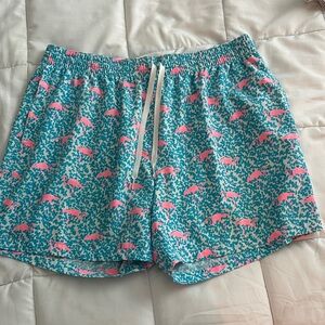 chubbies Teal Swim Trunks with Pink Flamingo Print
